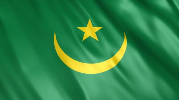 Mauritania Flag Animation Full 1920X1080 Pixels Extending Duration Conditions Seamless — 비디오