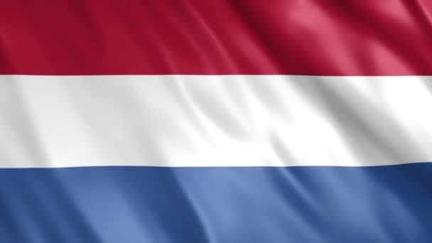 Hollanda Bayrak Animasyonu Full 1920X1080 Pikseller Gerektiği Gibi Süreyi Noktasız — Stok video