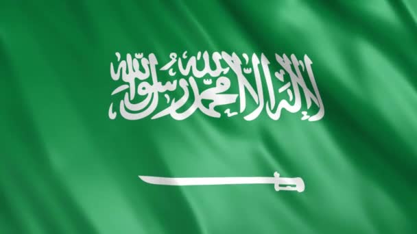 Saudi Arabia Flag Animation Full 1920X1080 Pixels Extend Duration Accordance — 图库视频影像