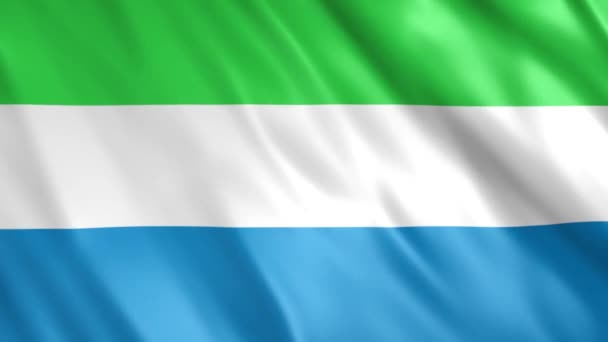 Sierra Leone Flag Animation Full 1920X1080 Pixelů Prodloužit Trvání Podle — Stock video