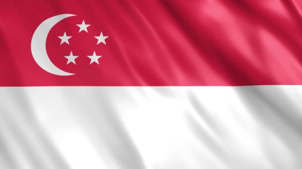 Singapore Flag Animation Full 1920X1080 Pixels Extending Duration Conditions Seamless — 비디오