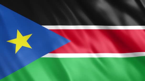 South Sudan Flag Animation Full 1920X1080 Pixels Przedłużenie Czasu Trwania — Wideo stockowe