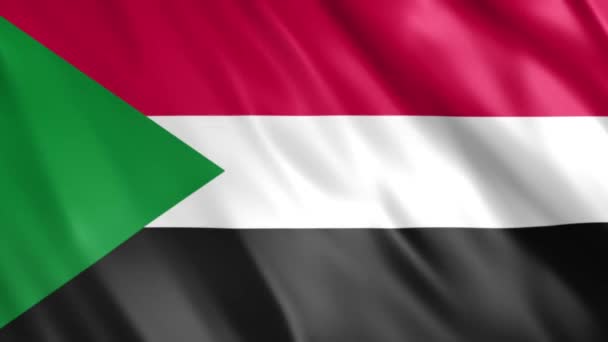 Sudan Flag Animation Full 1920X1080 Pixels Extended Duration Requency Seamless — стокове відео