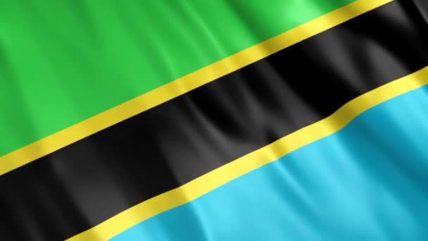 Tanzania Flag Animation Full 1920X1080 Pixels 根据无缝合线的要求延长期限 — 图库视频影像