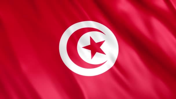 Tunisia Flag Animation Full 1920X1080 Pixels Επεκτείνετε Διάρκεια Σύμφωνα Την — Αρχείο Βίντεο