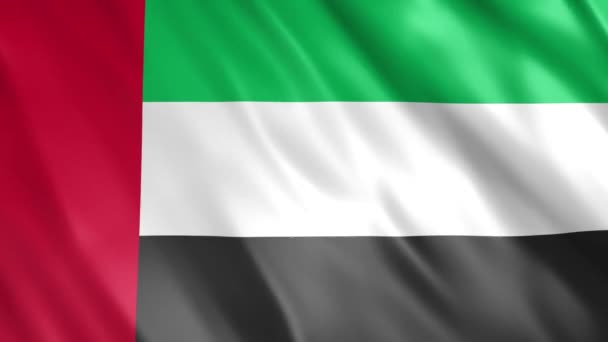 United Arab Emirates Flag Animation Full 1920X1080 Pixels Extend Duration — Stock Video