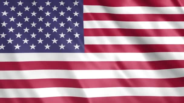 Vereinigte Staaten Von Amerika Flagge Animation Full 1920X1080 Pixel Verlängern — Stockvideo