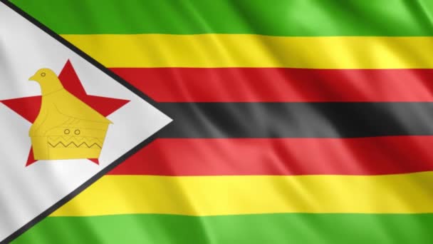 Zimbabwe Flag Animation Full 1920X1080 Pixeles Extienda Duración Según Requisito — Vídeo de stock