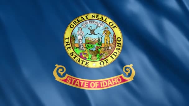 Idaho State Flag Animation Full 1920X1080 Pixel Estendere Durata Secondo — Video Stock