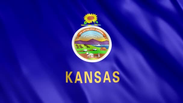 Kansas Eyaleti Bayrak Animasyonu Full 1920X1080 Pikseller Süreyi Kusursuz Döngü — Stok video
