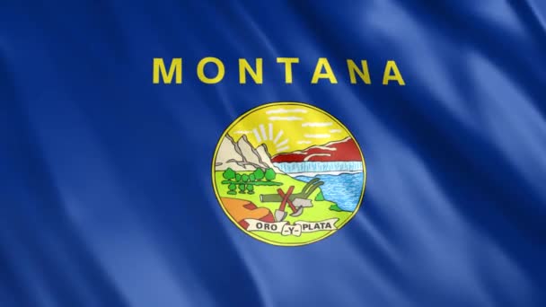 Montana Eyaleti Bayrak Animasyonu Full 1920X1080 Pikseller Süreyi Kusursuz Döngü — Stok video