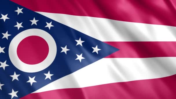 Ohio State Flag Animatie Full 1920X1080 Pixels Verleng Duur Volgens — Stockvideo