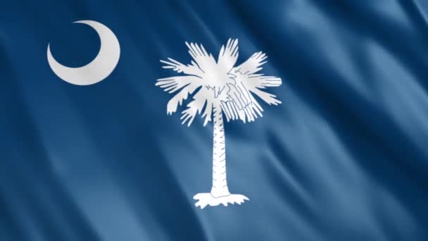 South Carolina State Flag Animation Full 1920X1080 Pixel Estendere Durata — Video Stock