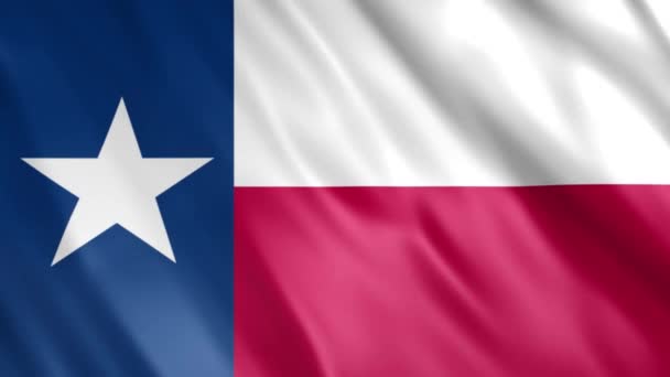 Texas State Flag Animation Full 1920X1080 Pixels Przedłużyć Czas Trwania — Wideo stockowe