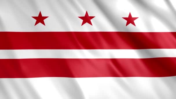Washington State Flag Animation Full 1920X1080 Pixels Extending Duration Conditions — 비디오
