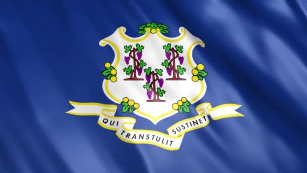 Connecticut State Flag Animation Full 1920X1080 Pixels Przedłużenie Czasu Trwania — Wideo stockowe