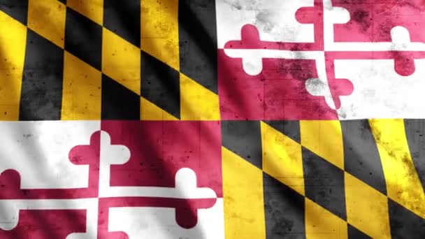 Maryland State Flag Grunge Animation Full 1920X1080 Pixels Επέκταση Της — Αρχείο Βίντεο