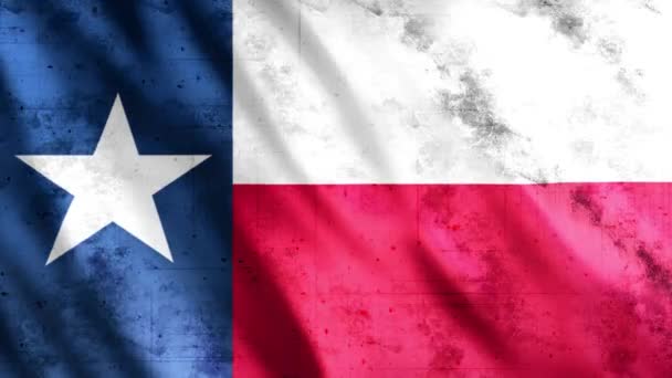 Texas State Flag Grunge Animation Full 1920X1080 Pixlar Förläng Varaktigheten — Stockvideo