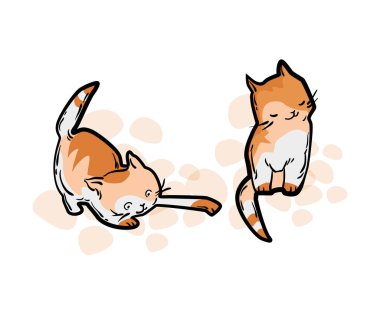 Şirin kedi komik karikatür tarzı