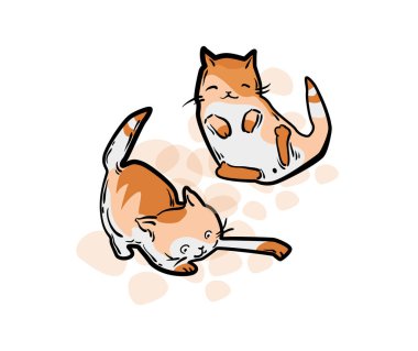 Şirin kedi komik karikatür tarzı