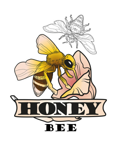 Пчела с медом. логотип и столы. Векторная иллюстрация
.