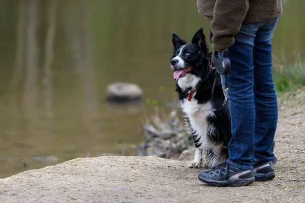 Walk with a dog in park