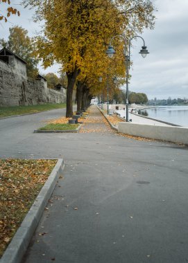 Sisin içinde sahildeki sonbahar sokak