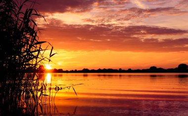 Sakin göl kenarında güzel turuncu yaz günbatımı