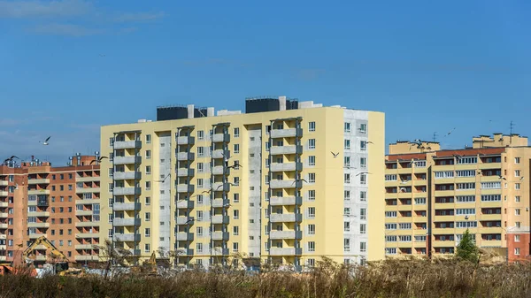Nuove case appartamento sullo sfondo del cielo blu — Foto Stock
