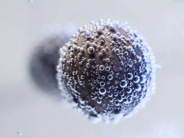 su kabarcıkları ile yuvarlak çikolata. sorunsuz doku