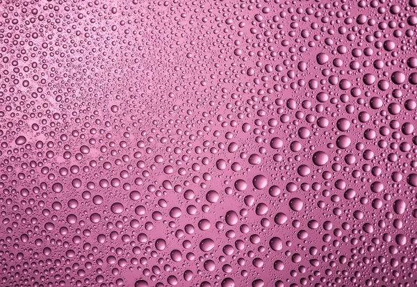 misted glass with drops water close up on pink background