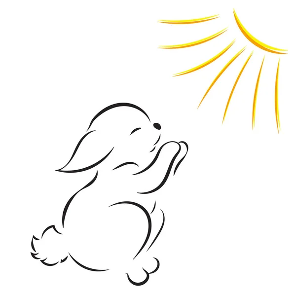 Черный контур кролика под солнцем изолированы на белом фоне — стоковое фото