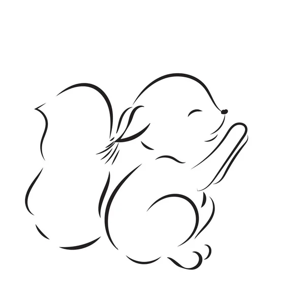 Coloring page. Vector black outline cute squirrel on white background — Stock Vector