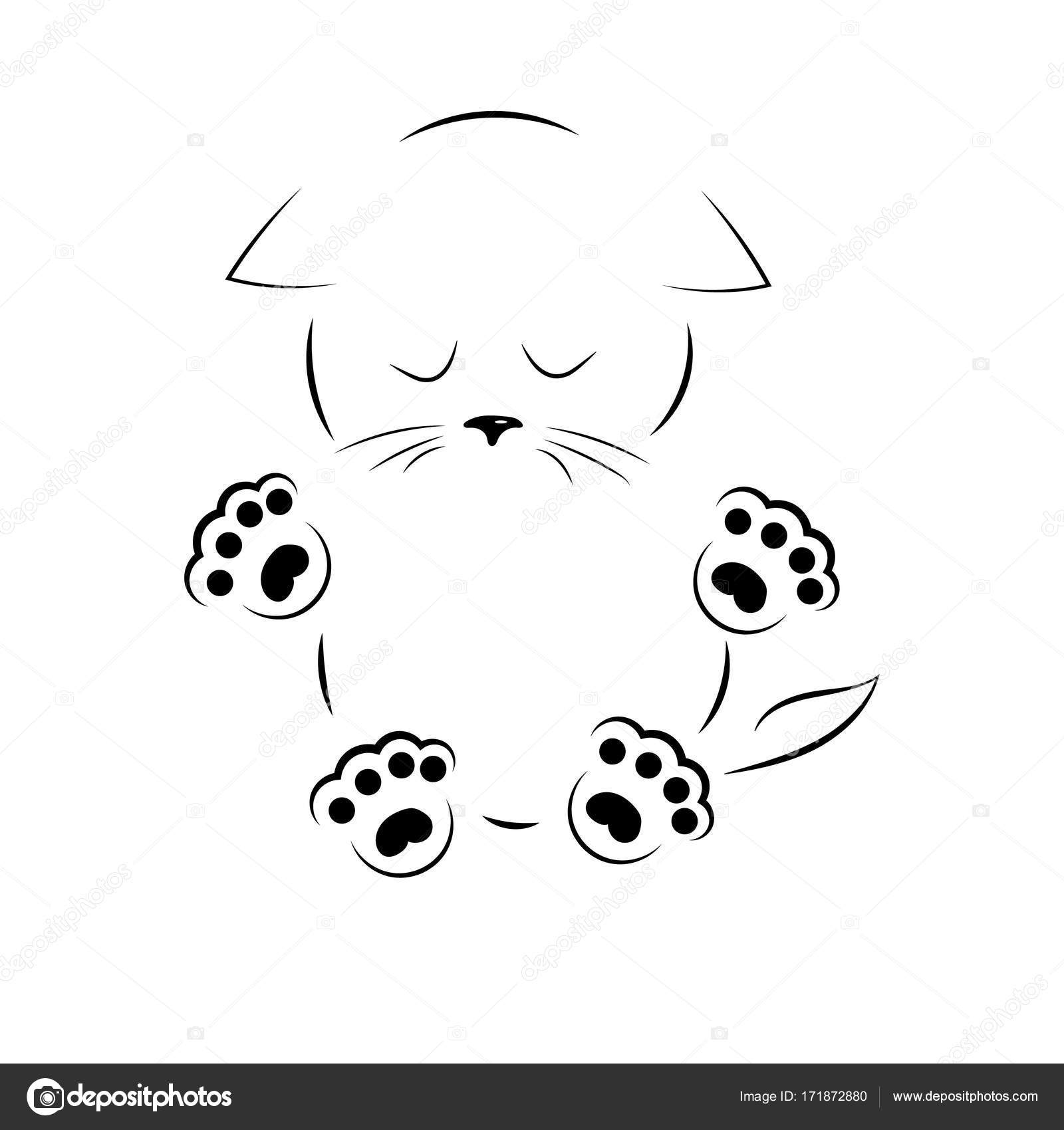 Vector Black And White Outline Drawing Sad Kitty With Paws Vector Image By C Alexx60 Vector Stock 171872880