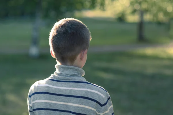 Visão traseira do menino de pé no parque, um adolescente pensa — Fotografia de Stock