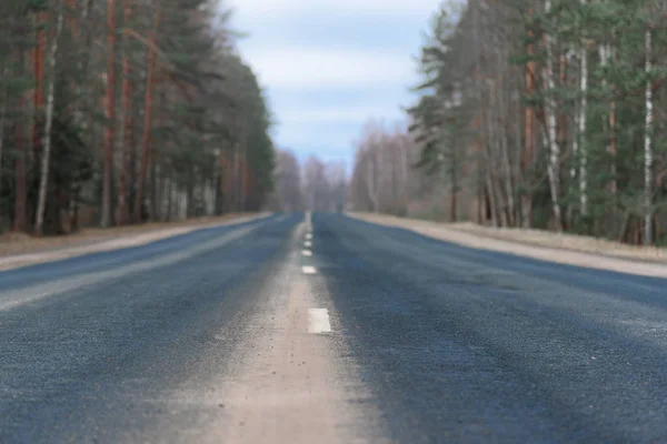Highway with its white dividing strip close up. The forest background in blur. — Stock Photo, Image