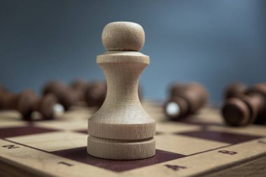 Siyah satranç taşlarının bulanık arka planında beyaz piyon. Bire karşı tek kavram..