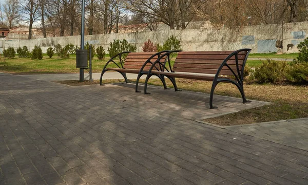 Horizontal Shot Empty Benches Path Park — Stock Photo, Image