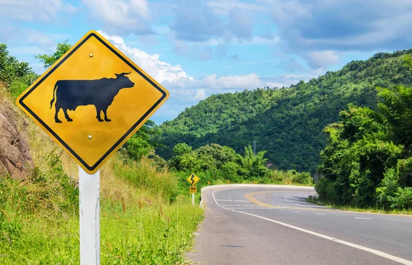 Warning signs Beware of cows on the road — Stock Photo, Image