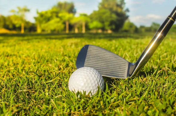 Golf club and ball in grass — Stock Photo, Image