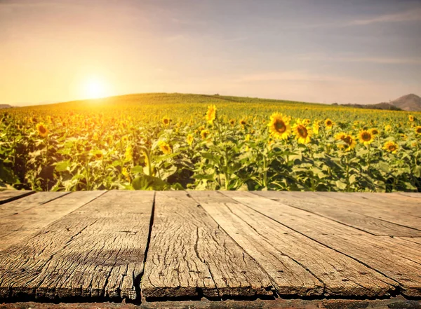 Leere Holzplanke mit Sonnenblumenfeld Hintergrund — Stockfoto