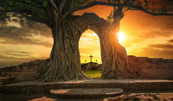 Empty tomb with three crosses — Stock Photo, Image