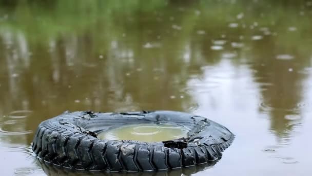 Dešťové kapky na vodě. Kapky deště padají. Deštivé počasí. — Stock video