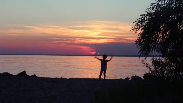 Silueta de una joven en la playa al atardecer — Vídeos de Stock