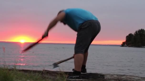 Tourist chopping tree at sunset — Stock Video