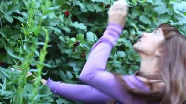 Menina feliz admira os frutos vermelhos da árvore — Vídeo de Stock