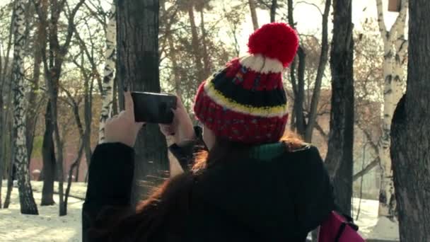 Mujer joven toma vídeo en su teléfono inteligente en el parque de invierno — Vídeos de Stock