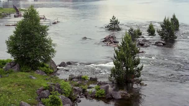 Потік води в Алтаю, Teletskoye озеро — стокове відео