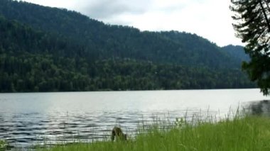 Lake Teletskoye Altay Cumhuriyeti görünümünü