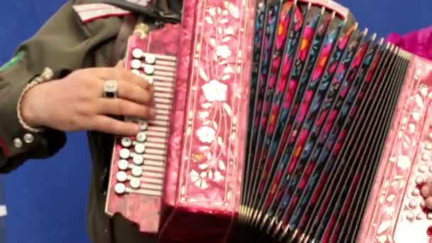 Russian actor plays the accordion and sings — Stock Video